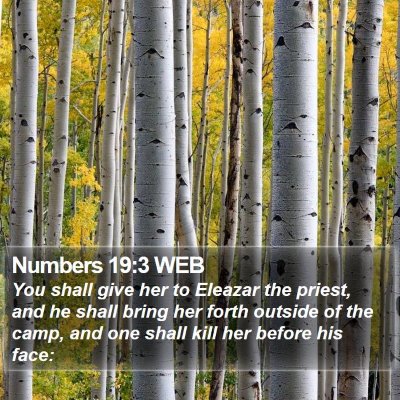 Numbers 19:3 WEB Bible Verse Image