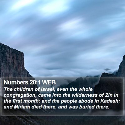 Numbers 20:1 WEB Bible Verse Image