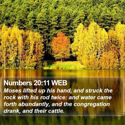 Numbers 20:11 WEB Bible Verse Image