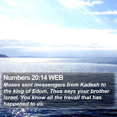 Numbers 20:14 WEB Bible Verse Image
