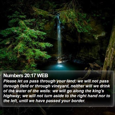 Numbers 20:17 WEB Bible Verse Image