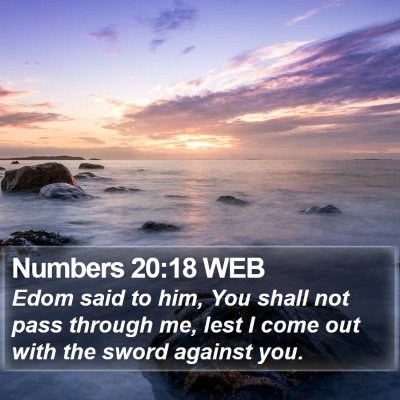 Numbers 20:18 WEB Bible Verse Image