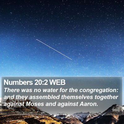 Numbers 20:2 WEB Bible Verse Image