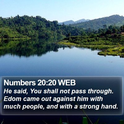 Numbers 20:20 WEB Bible Verse Image
