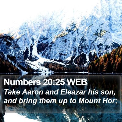 Numbers 20:25 WEB Bible Verse Image