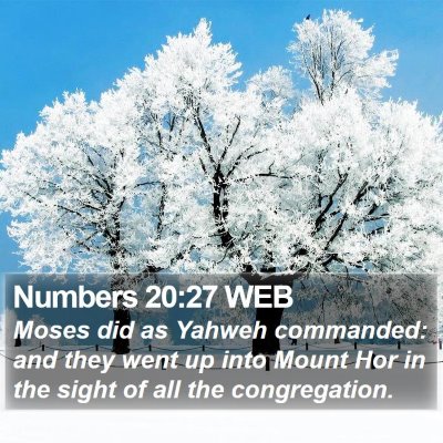 Numbers 20:27 WEB Bible Verse Image