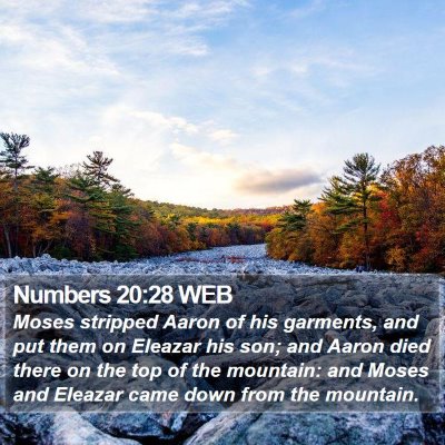 Numbers 20:28 WEB Bible Verse Image