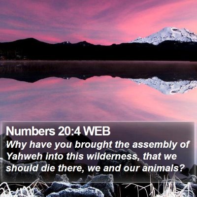 Numbers 20:4 WEB Bible Verse Image