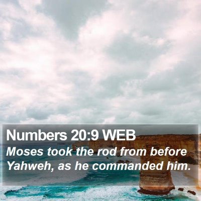 Numbers 20:9 WEB Bible Verse Image