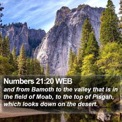 Numbers 21:20 WEB Bible Verse Image