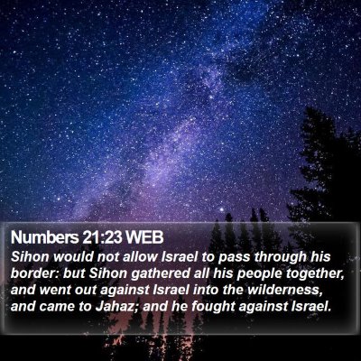 Numbers 21:23 WEB Bible Verse Image