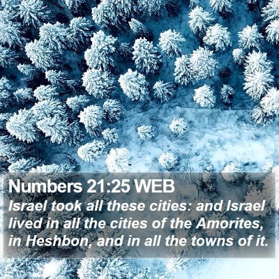 Numbers 21:25 WEB Bible Verse Image
