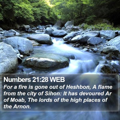 Numbers 21:28 WEB Bible Verse Image