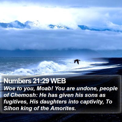 Numbers 21:29 WEB Bible Verse Image