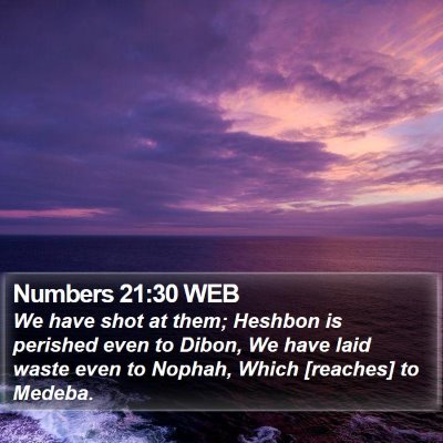 Numbers 21:30 WEB Bible Verse Image