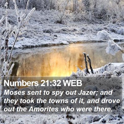 Numbers 21:32 WEB Bible Verse Image