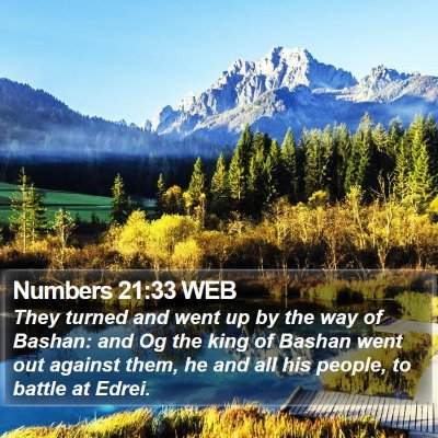 Numbers 21:33 WEB Bible Verse Image