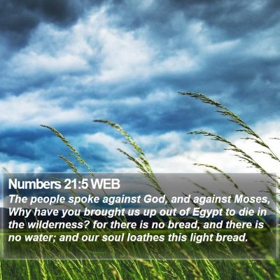 Numbers 21:5 WEB Bible Verse Image