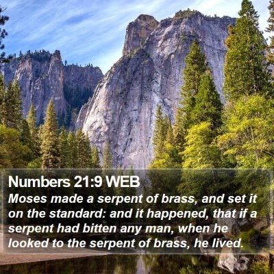 Numbers 21:9 WEB Bible Verse Image