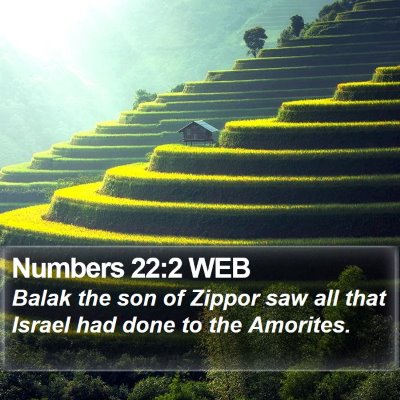 Numbers 22:2 WEB Bible Verse Image