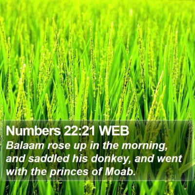 Numbers 22:21 WEB Bible Verse Image