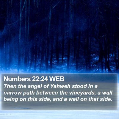 Numbers 22:24 WEB Bible Verse Image