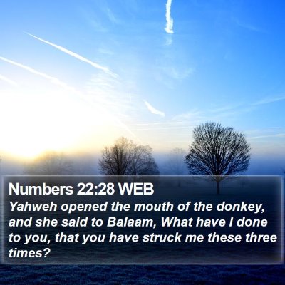 Numbers 22:28 WEB Bible Verse Image