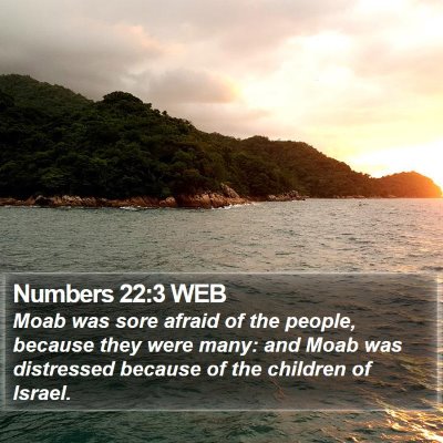 Numbers 22:3 WEB Bible Verse Image