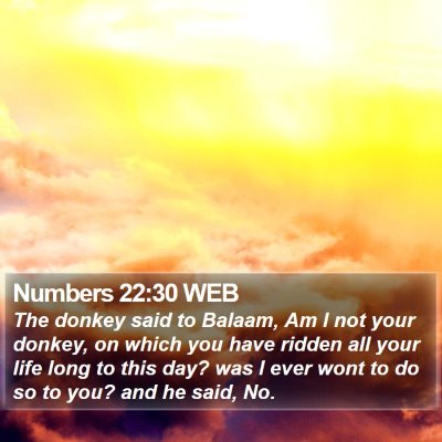 Numbers 22:30 WEB Bible Verse Image