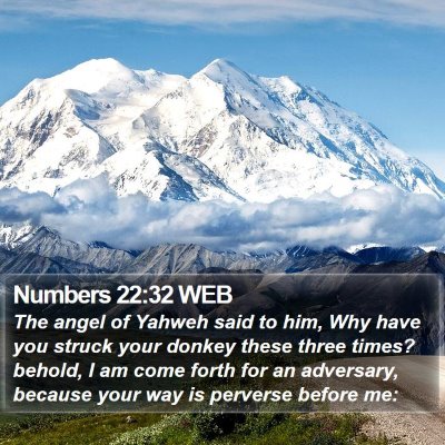 Numbers 22:32 WEB Bible Verse Image