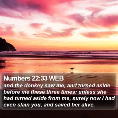Numbers 22:33 WEB Bible Verse Image