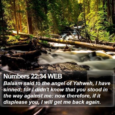 Numbers 22:34 WEB Bible Verse Image