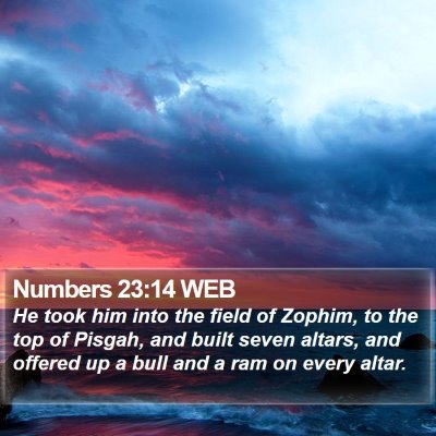 Numbers 23:14 WEB Bible Verse Image