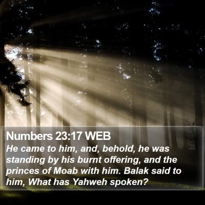 Numbers 23:17 WEB Bible Verse Image