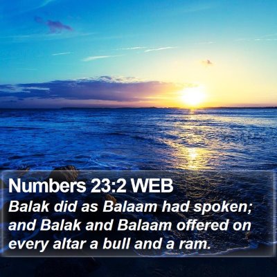 Numbers 23:2 WEB Bible Verse Image