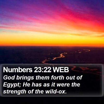 Numbers 23:22 WEB Bible Verse Image