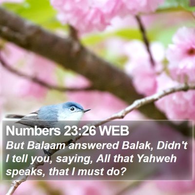 Numbers 23:26 WEB Bible Verse Image