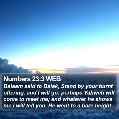 Numbers 23:3 WEB Bible Verse Image