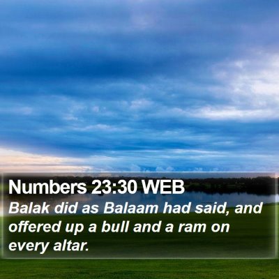 Numbers 23:30 WEB Bible Verse Image