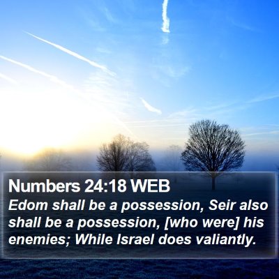 Numbers 24:18 WEB Bible Verse Image