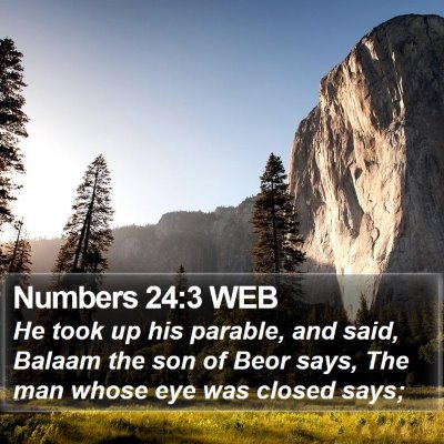 Numbers 24:3 WEB Bible Verse Image
