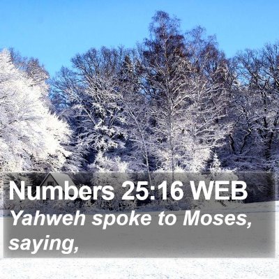 Numbers 25:16 WEB Bible Verse Image