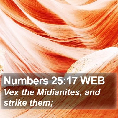Numbers 25:17 WEB Bible Verse Image