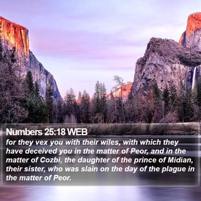 Numbers 25:18 WEB Bible Verse Image