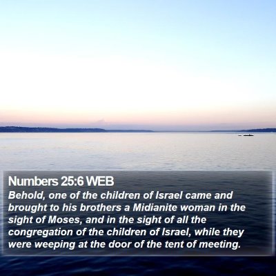 Numbers 25:6 WEB Bible Verse Image