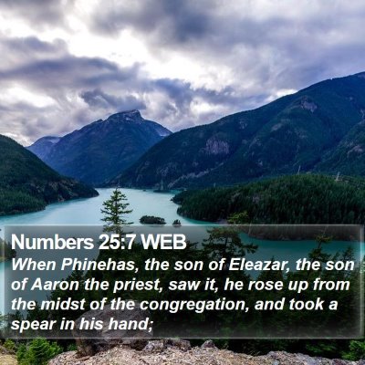 Numbers 25:7 WEB Bible Verse Image