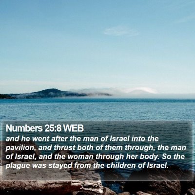 Numbers 25:8 WEB Bible Verse Image