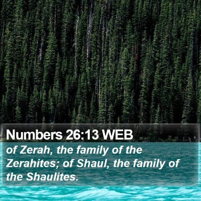 Numbers 26:13 WEB Bible Verse Image