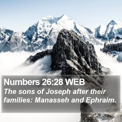 Numbers 26:28 WEB Bible Verse Image