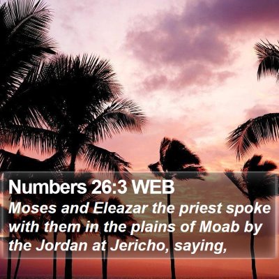 Numbers 26:3 WEB Bible Verse Image
